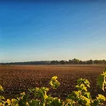 Le Clos Champlieu * Orrouy