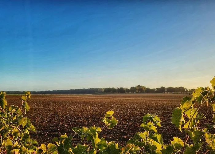 Le Clos Champlieu * Orrouy