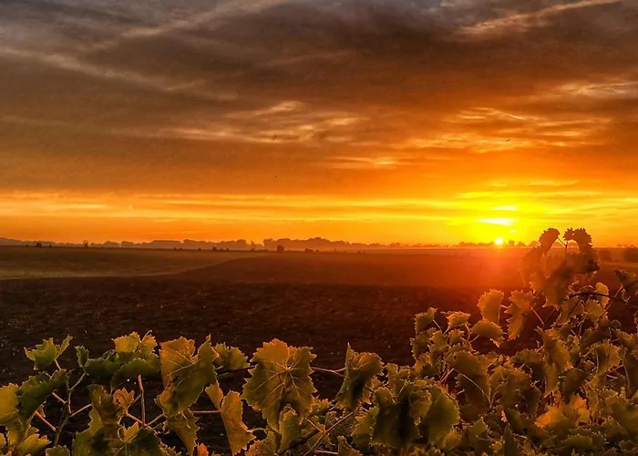 Le Clos Champlieu Holiday home *